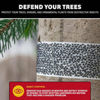 Catchmaster Tree Shield Lantern Fly & Ant Traps Insect Barrier, 4 Rolls 30ft Each, Outdoor Adhesive Crawling Insect Trap to Protect Trees, Fruit & Plants, Pest Control Lawn & Garden
