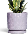 Ceramic Pots for Plants, 6 Inch Plant Pot for Indoor Outdoor Plants, Round Planter with Drainage Holes and Saucer, Boho Decorative Flower Pots, Apartment Decor, Plant Lover Gifts, Purple