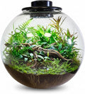 Desktop Glass Terrarium Bowl with Grow Light Adjustable(H:8" D:8"), for Succulent, Moss, Miniature Gardening Landscape, Betta Fish Tank, Indoor Plant Growth, Office Home Decoration, Lovers Gifts