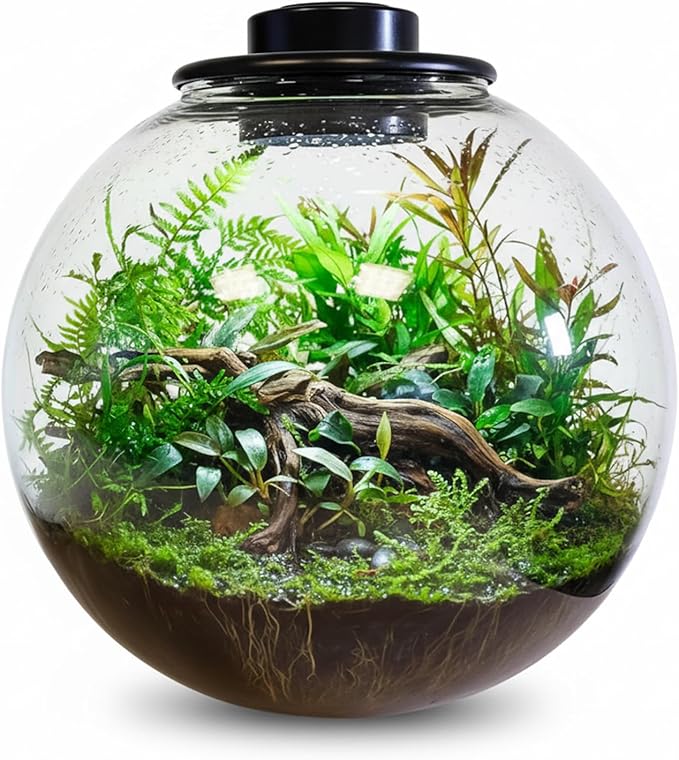 Desktop Glass Terrarium Bowl with Grow Light Adjustable(H:8" D:8"), for Succulent, Moss, Miniature Gardening Landscape, Betta Fish Tank, Indoor Plant Growth, Office Home Decoration, Lovers Gifts