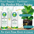 Root Rot Repair for Houseplants – Root Supplement & Recovery Drops for Overwatering or Shock | Heals Roots, Prevents Yellowing, Brown Spots & Dropping Leaves (8 oz)