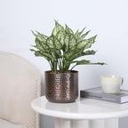 MyGift 6 Inch Vintage Copper Tone Metal Vase, Flower Pot with Hammered Texture, Cylindrical Indoor Succulent Plant Container - Handcrafted in India