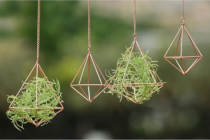Hanging Air Plants Holders Geometric Airplant Hangers Rose Gold Tillandsia Holder Metal Pink Himmeli Metal Airfens Planter for Home Décor 4Pcs …