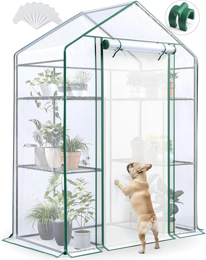Quictent Essential Walk-in Greenhouse for Outdoors, 56x29x77 inch Portable 3-Tier 4-Shelf Garden Hot House Kit with Plastic Cover for Winter Seed Starting Plant Protection Backyard Patio, Clear