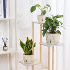STHIE 4/5/6 Inches Ceramic Plant Pots with Drainage Holes and Saucers, Round Flower Pots for Indoor Plant, Small Flower Planters Set of 3 (White Floral-Big Size)