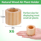 Bigmeta 6 Pcs Wood Air Plant Holder - 1.2" Rustic Style Airplant Display Stands for Women Gifts