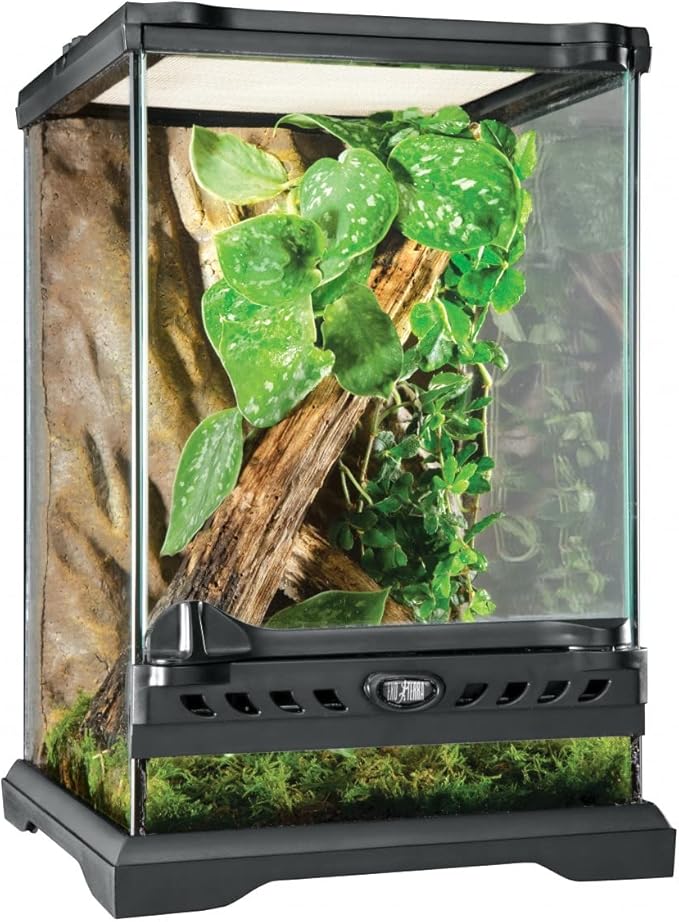 Exo Terra Glass Nano Terrarium Kit for Reptiles and Amphibians, Nano Tall - 8 x 8 x 12 Inches