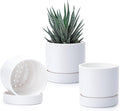 Phoenix Vine 4 Inch Planter Pot with Drainage Hole & Saucer, Deep Water Catch Tray, Straight Cylindrical Round Pot for Plants, Matte White, Pack of 3, 23-B-R-3