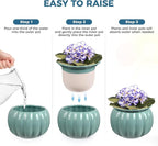 BUYMAX African Violet Pots, 6 inch Pumpkin-Style Ceramic Easy Self Watering Plant Pot for Busy Plant Lovers, Automatically Absorb Appropriate Amount of Water, Flower Pot Indoor-Plants Not Included