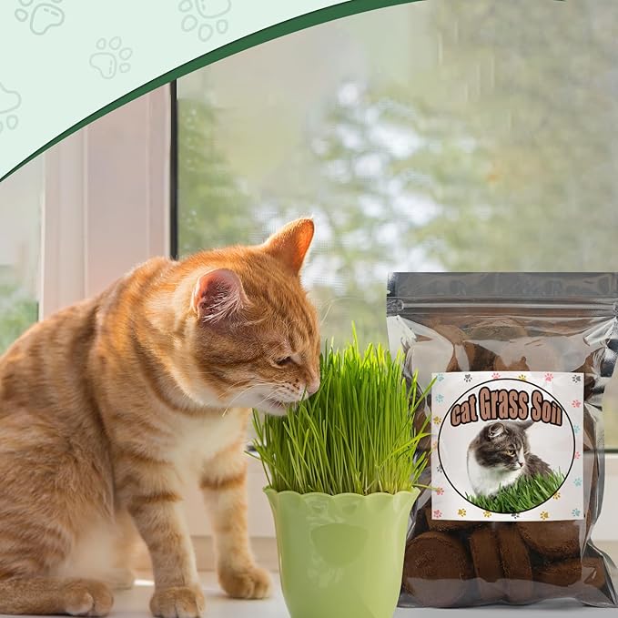 Doter Organic Potting Soil for Indoor Cat Grass, Great Seedling Soil for Wheat Grass, Bermuda, Catnip, and All Indoor Herb Plants
