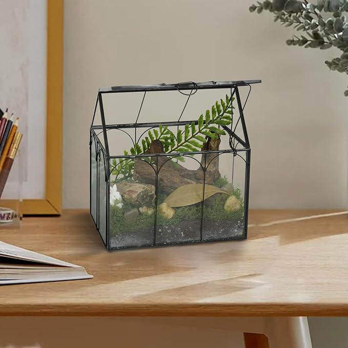 Ferrisland Glass Plant Terrarium Container Wardian Case Indoor Small Succulent Terrarium Planter W/Door for Tabletop Decor DIY (6" L x 4.3" W x 6.3" H)