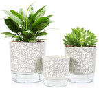 Self Watering Pots for Indoor Plants, 6 & 5 & 4 Inch Stylish Flower Pots, Set of 3 Modern Planters with Self-Watering Feature (Crack Texture)