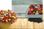 Outsidepride Happy Hour Mixed Moss Rose Seeds - 500 Pcs Annual, Drought & Heat Tolerant, Pollinator Friendly Ground Cover Seeds for Planting w/Vibrant Blooms & Succulent Foliage, for Xeriscaping