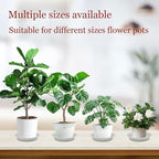 6pcs White Plastic Plant Saucers (6 inch) - Heavy Duty Indoor Plant Trays for Pots with Water Drainage, Drip Catcher & Decor (Set of 6 Round Saucers)
