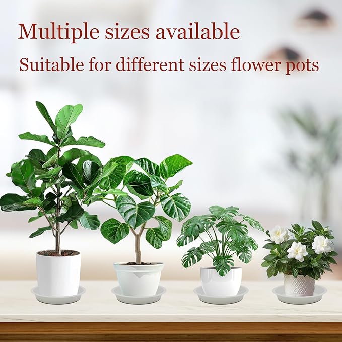 6pcs White Plastic Plant Saucers (6 inch) - Heavy Duty Indoor Plant Trays for Pots with Water Drainage, Drip Catcher & Decor (Set of 6 Round Saucers)
