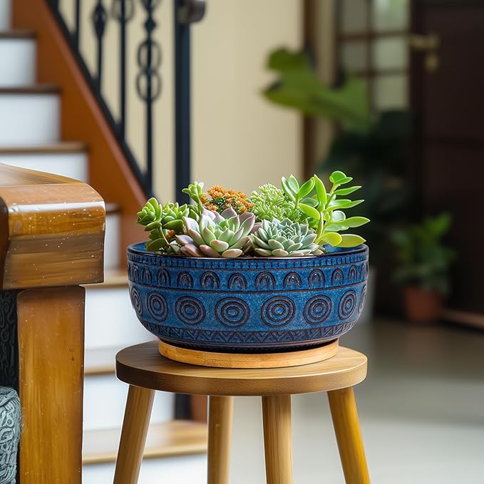 Eightpot Bonsai Pots 8 Inch - Ceramic Succulent Pots for Indoor Plants, Shallow Round Planters with Drainage Hole and Saucer, Boho Bonsai Bowl, Home Decor, Blue