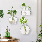 yarlung Set of 6 Wall Hanging Planter Terrarium, Clear Glass Plant Vase Wall Mount for Propagating Hydroponics Plant, Indoor Air Plants, Stylish 6 Shapes (Plants Not Included)
