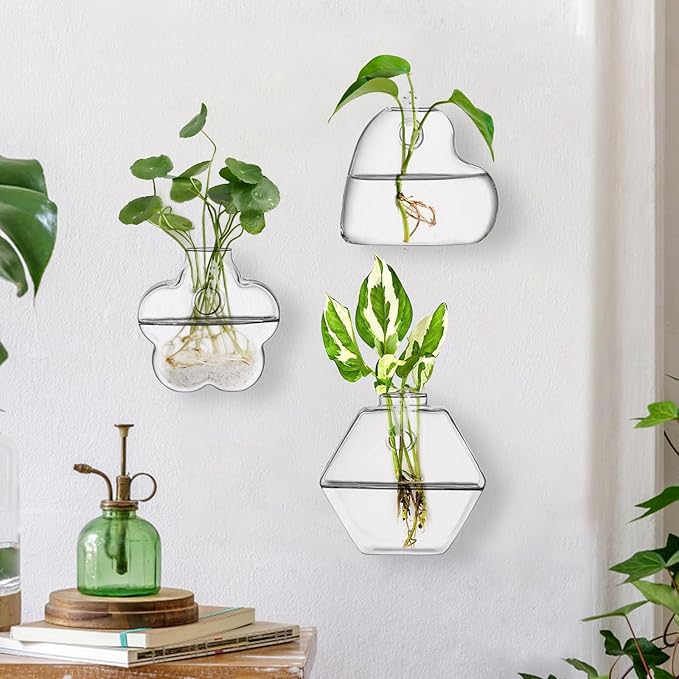 yarlung Set of 6 Wall Hanging Planter Terrarium, Clear Glass Plant Vase Wall Mount for Propagating Hydroponics Plant, Indoor Air Plants, Stylish 6 Shapes (Plants Not Included)