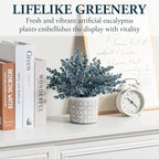 MyGift Artificial Eucalyptus Plant in Modern Gray Concrete Pots with Geometric Embossed Pattern (1, Blue)