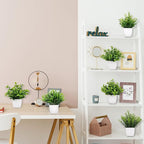 Yoratee 6 Pot Small Fake Plant Flowerpot Artificial Plastic Eucalyptus Plant Wheat Grass Shrub Plant Indoor Desk Coffee Table Bathroom Bedroom Home Decoration (6)