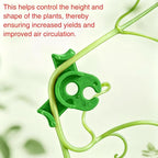 150PCS Plant Training Clips,90 Degrees Bud Trainer Clips Low Stress Training Clips Plant Stem Support Bud Bender for Flowers, Vegetables, Plant Gardening - Red and Green