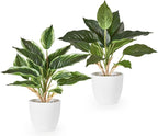 Mkono 2 Pack Fake Plants in Pot, 11" Potted Artificial Plants for Home Decor Indoor Faux Green Leaf Plant with Modern White Planter for Desk Shelf Office Room Decoration (Pothos)
