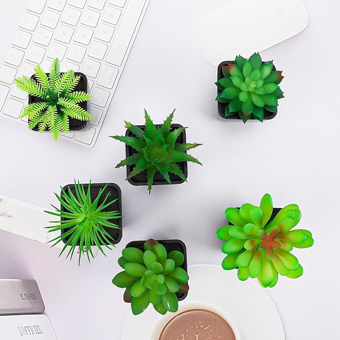 6 Pack Artificial Succulents Plants Potted Small Fake Greenery Plant Realistic in Black Pots for Office Desk Halloween Decorations Bedroom Living Room Shelf Bathroom Decor