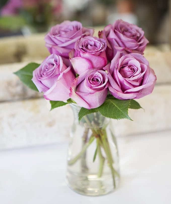 KaBloom - Bouquet of 6 Fresh Cut Purple Roses (Farm-Fresh, Long-Stem) with Vase - Fresh Flowers for Birthday, Valentine's & Mother's Day