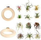 12 Pack Air Plant Holder Magnet Wooden Air Plant Display Stand Small Hanging Planter Wall Mount Holder for Live Tropical Tillandsia Fridge Home Office Decoration Plants Not Included (12, Natural Wood)