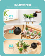Baffect Watering Can Indoor Plants, 1.2L/41OZ Cute Watering Can Pot, Metal Stainless Steel Garden Water Can with Long Spout for Indoor House Plants Bonsai Outdoor Garden Flower Decorative