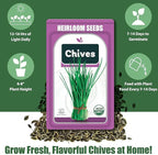 Seed Pods for All Hydroponics Growing Systems, 12 Pods Herb Kit (Chives)