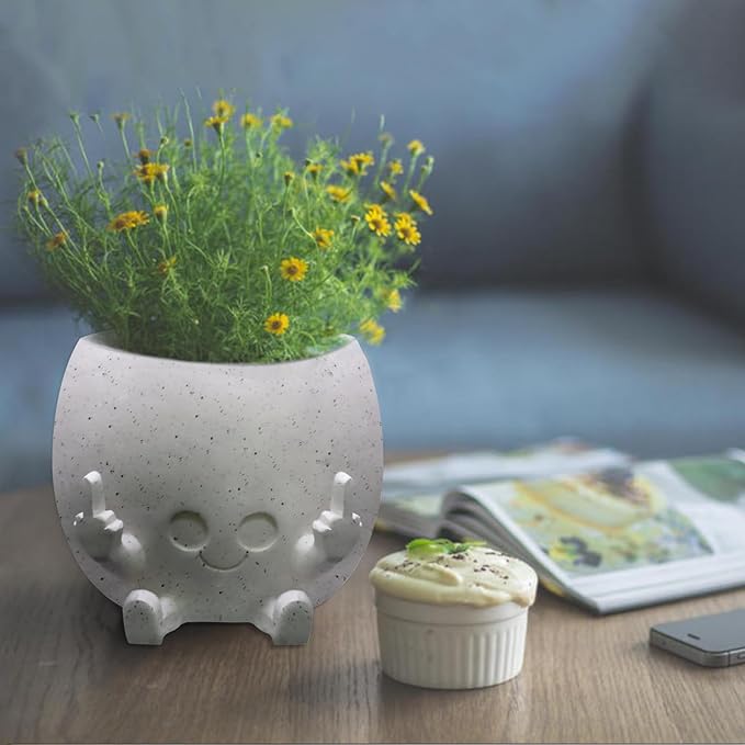 Smiling Plant Pot with Middle Fingers Up, Face Planter Pot Resin Flower Planters for Indoor Outdoor Plants Succulent Pots for String of Pearls Plant Live Gift Ideas for Mother (White)