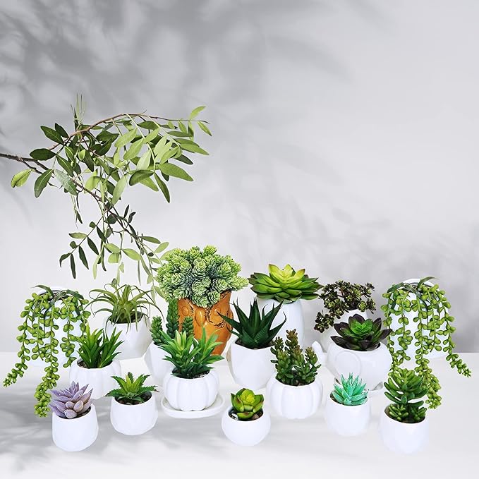 Winlyn 19 Pcs Assorted Artificial Succulents Plants Unpotted Small Green Hanging Succulent Aloe Fake Cacti Succulents Bulk for Succulent Garden Centerpiece Wreath Arrangement Indoor Outdoor Home Decor