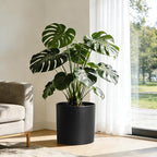 WSMKSZ 14 Inch Heavy-Duty Cylinder Deep Planter for Indoor Outdoor Plants, Tall Large Plastic Plant Pot with Drainage Holes and Saucer, Decorative Flower Pot for Patio Garden, Black