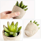 Artificial Succulents Plants Potted Set-Decorative Fake Succulent Plant Faux Plastic Plant Indoor &Outdoor for House Office Desk Bathroom Kitchen DIY Decor Gift Set of 6