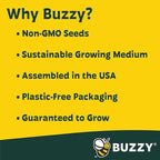BUZZY Seeds Forget Me Not Flower Grow Kit Bulk 20pk Mini Terracotta Pots Gardening Starter Set, Wedding Favors, Shower Prizes, Garden Parties