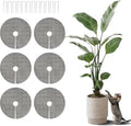 6Pcs 11.8 Inch Plant Pot Protector from Cats, Cuttable Indoor Plant Protector from Animals with 12 Ground Stakes