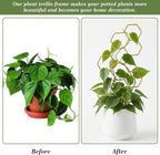 Small Trellis for Potted Plants, 14 Inch Indoor Trellis for Climbing Plants Honeycomb Shape Metal Plant Trellis for Pots Plant Climbing Support for Flower Hoya Pothos Houseplants