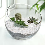 Pulovin 2.5 lbs White Aquarium Gravel, 1/5 Inch White Rocks for Plants, Small Pebbles for Vases, Succulents, Bamboo, Natural Decorative Pebbles for Plants Drainage, Cactus, Crafts