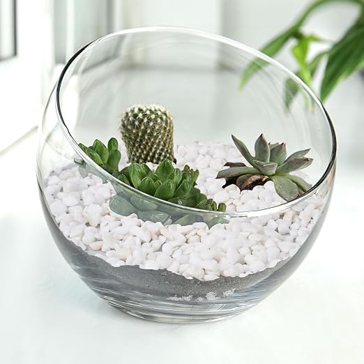 Pulovin 2.5 lbs White Aquarium Gravel, 1/5 Inch White Rocks for Plants, Small Pebbles for Vases, Succulents, Bamboo, Natural Decorative Pebbles for Plants Drainage, Cactus, Crafts