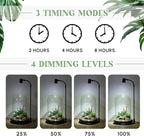 Maxdot Plant Terrarium Kit with Grow Light, 4.8'' x 7.87'' Glass Dome Terrarium with Air Hole and Base, Succulent Air Planter Fern Moss Micro Landscape Vase for Home Office Tabletop Decoration