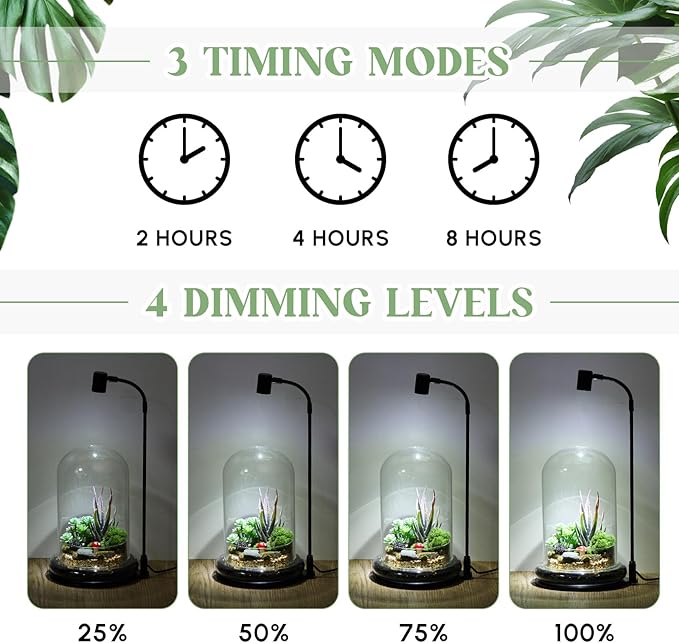 Maxdot Plant Terrarium Kit with Grow Light, 4.8'' x 7.87'' Glass Dome Terrarium with Air Hole and Base, Succulent Air Planter Fern Moss Micro Landscape Vase for Home Office Tabletop Decoration