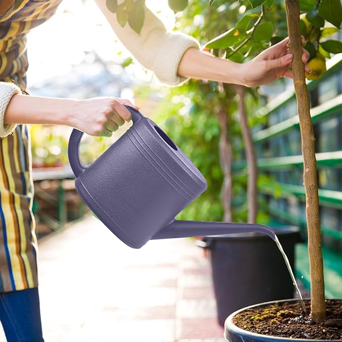 Plastic Watering Can for Plant Garden - with Long Stem - 1/4 Gallon - Purple