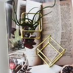 ZOOELAY Mini Air Plants Holders Metal Geometric Hanging Airplants Plant Hanger Airfens Display Stand Planter Hanging Airplants Frame Decor 6PCS