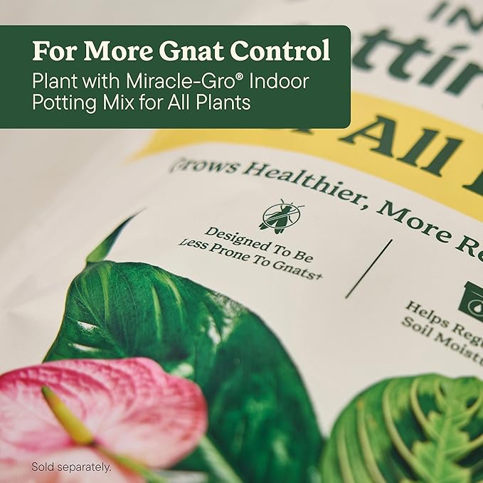 Miracle-Gro Plant Care Leaf Protect and Shine, 4-in-1 Insecticide, Miticide, Fungicide and Leaf Shine Spray for Indoor Plants, 8 fl. oz., 2-Pack