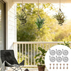 6 Pack Hanging Air Plant Holder, Spiral Wire Metal Hangers for Tillandsia, Adjustable Geometric Airplants Stand with Jute Ropes, Minimalist Wall Window Home Decor, Black Finish