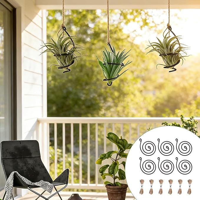 6 Pack Hanging Air Plant Holder, Spiral Wire Metal Hangers for Tillandsia, Adjustable Geometric Airplants Stand with Jute Ropes, Minimalist Wall Window Home Decor, Black Finish