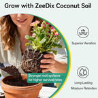 ZeeDix 100 Pcs (30mm) Compressed Coco Coir Fiber Potting Soil Seed Starters - Organic Coco Coir Pellet Fiber Soil for Planting Bonsai, Herbs, Plants, Flowers and Vegetables