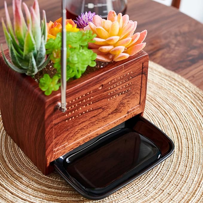 Succulent Pot Planter Vintage Home-Decor - Plant Pot Indoor for Succulents Plants Live,Small Flower Pot Retro Radio Desk Decor Container for Air Plant