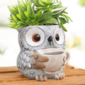 Saysmile Unique Owl Plant Pots Indoor, Cute Small Succulent Pots with Drainage Hole, Watering Owl Planters for Indoor Outdoor Plants, Resin Flower Pot for String of Pearls, Gift Ideas for Mother